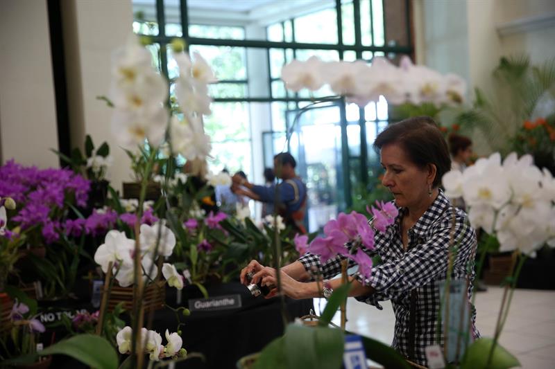 Las orquídeas indican cómo están los bosques", asegura Martin. Si éstas florecen significa que la biodiversidad del medio está a salvo. 