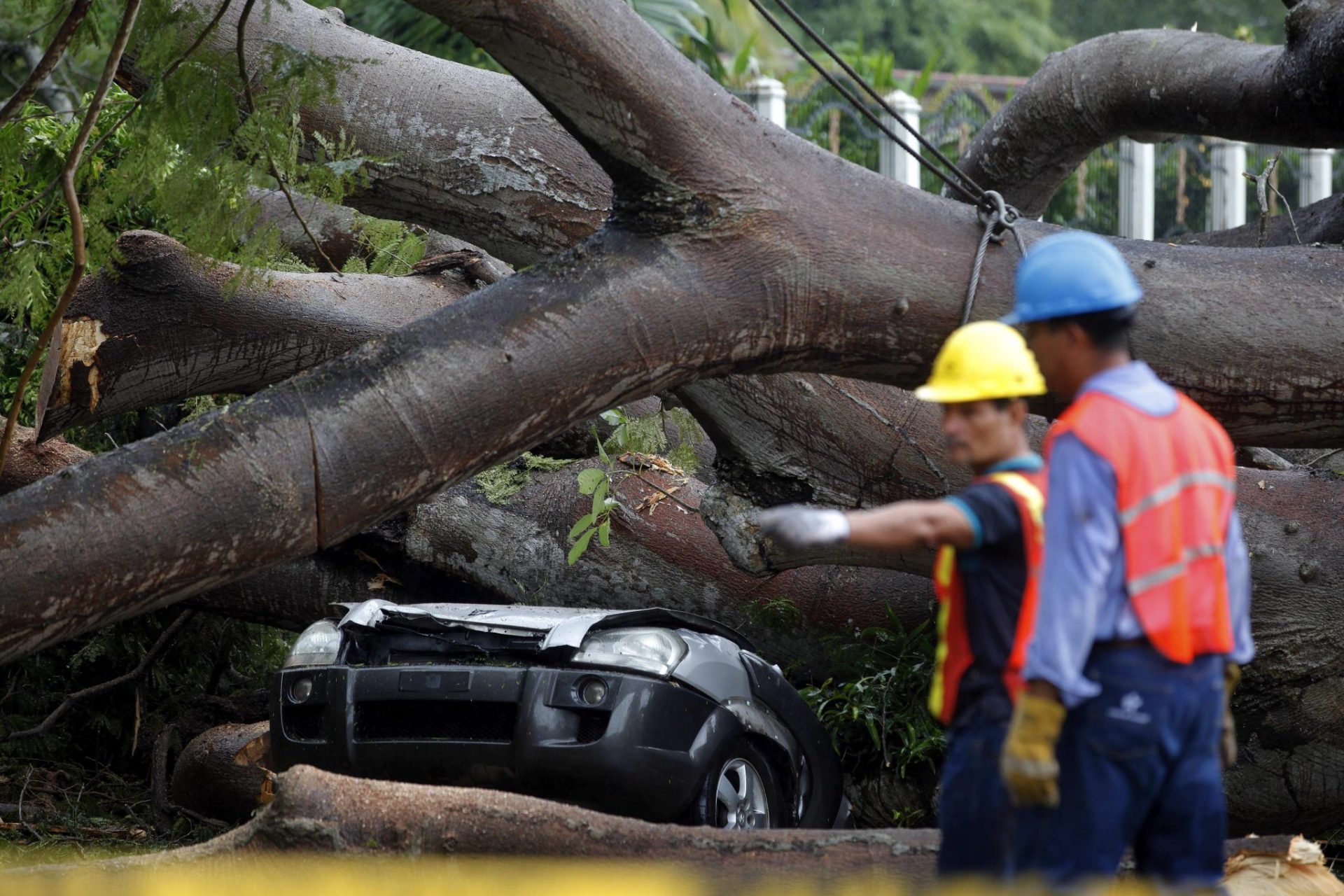CIUDAD DE PANAMÁ (PANAMÁ), 22/11/2016.- Un obrero trabaja en retirar un árbol que cayó sobre un vehículo a causa de la tormenta tropical Otto hoy, martes 22 de noviembre de 2016, en la Ciudad de Panamá (Panamá).