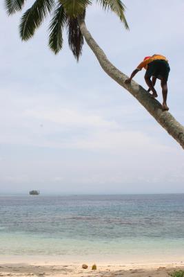 Fotografía sin fechar de las islas del archipiélago de San Blas en el Caribe panameño. Los indios kunas del país ven cómo las pequeñas islas que albergan a sus comunidades van poco a poco sumergiéndose debido al aumento del nivel del mar causado por el cambio climático, por lo que ya preparan su traslado a tierra firme. EFE/Marc de Beaufort