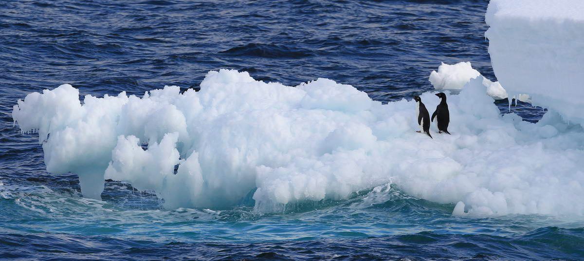 Pingüinos sobre un iceberg.