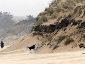 EFEverde, noticias medioambientales y última hora ecológica
