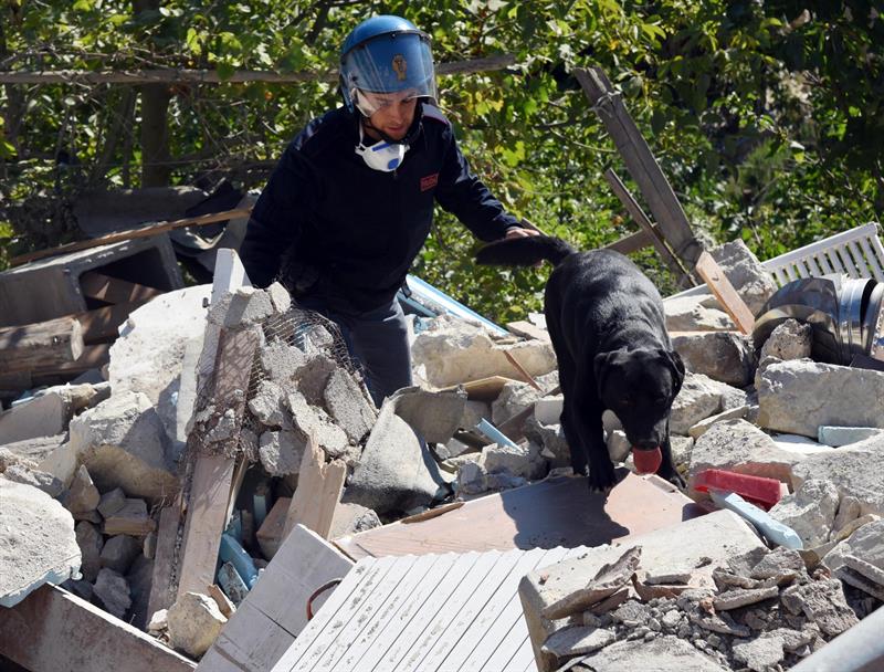 un policá ayudado por un perro adiestrado busca víctimas entre los escombros. 