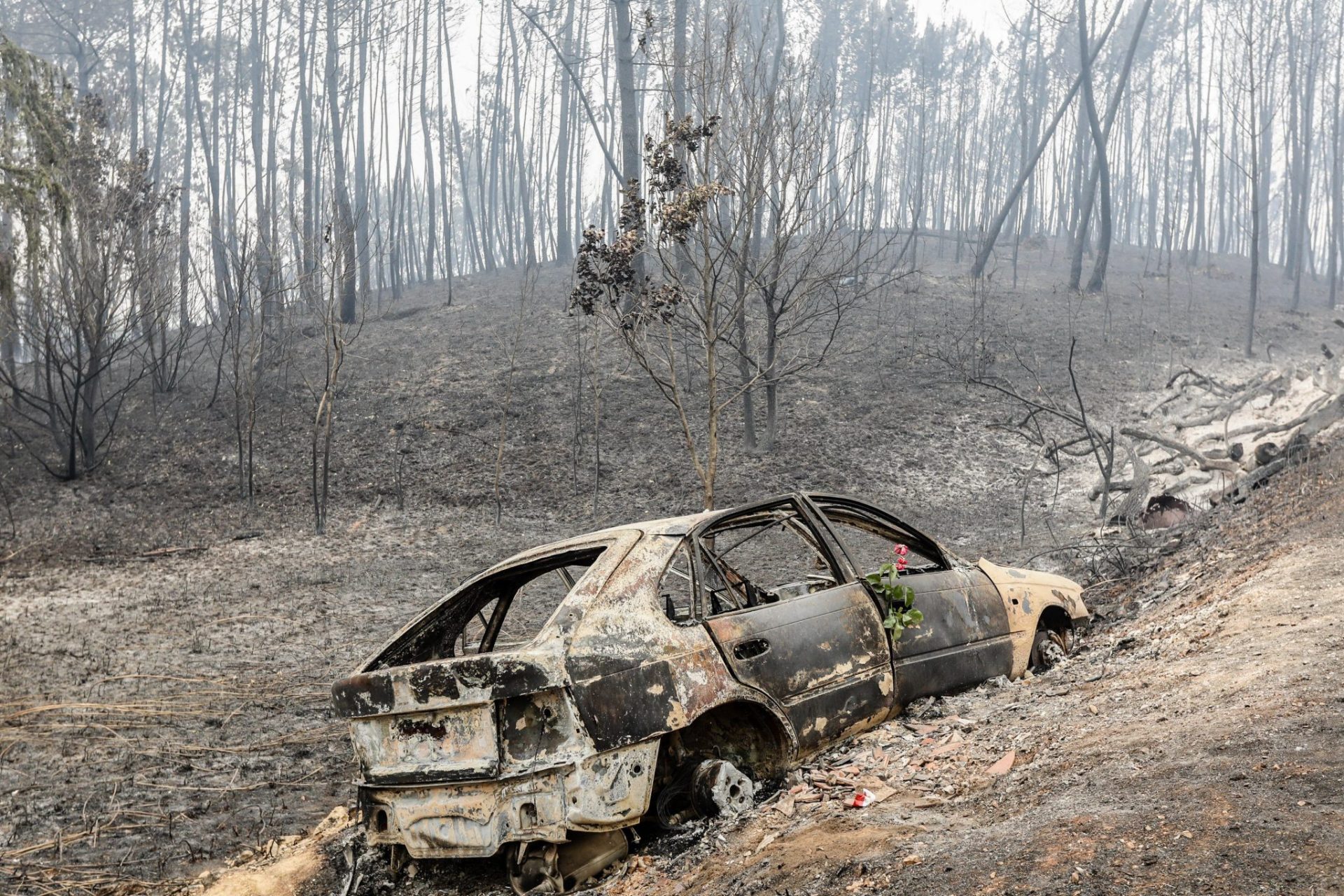 Los bomberos de Madrid que ayudan a extinguir el incendio de Portugal: es desolador.