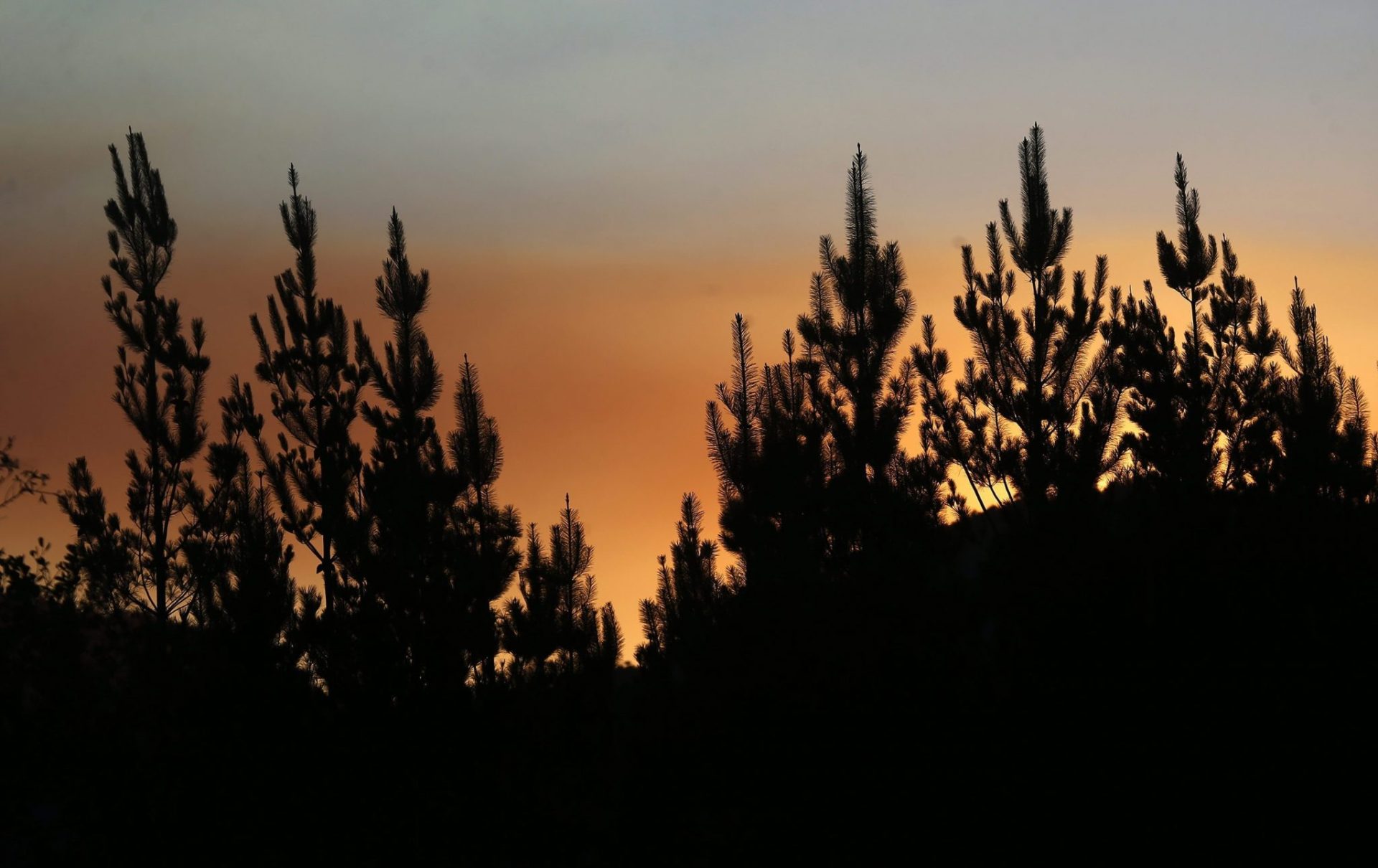 Fotografía del incendio forestal en la localidad de Pucón (Chile) EFE/Felipe Trueba