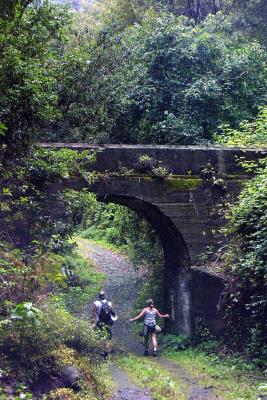Reserva de la Biosfera de la isla de La Palma .