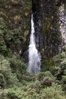 reserva ecológica Coca-Cayambe- Ecuador
