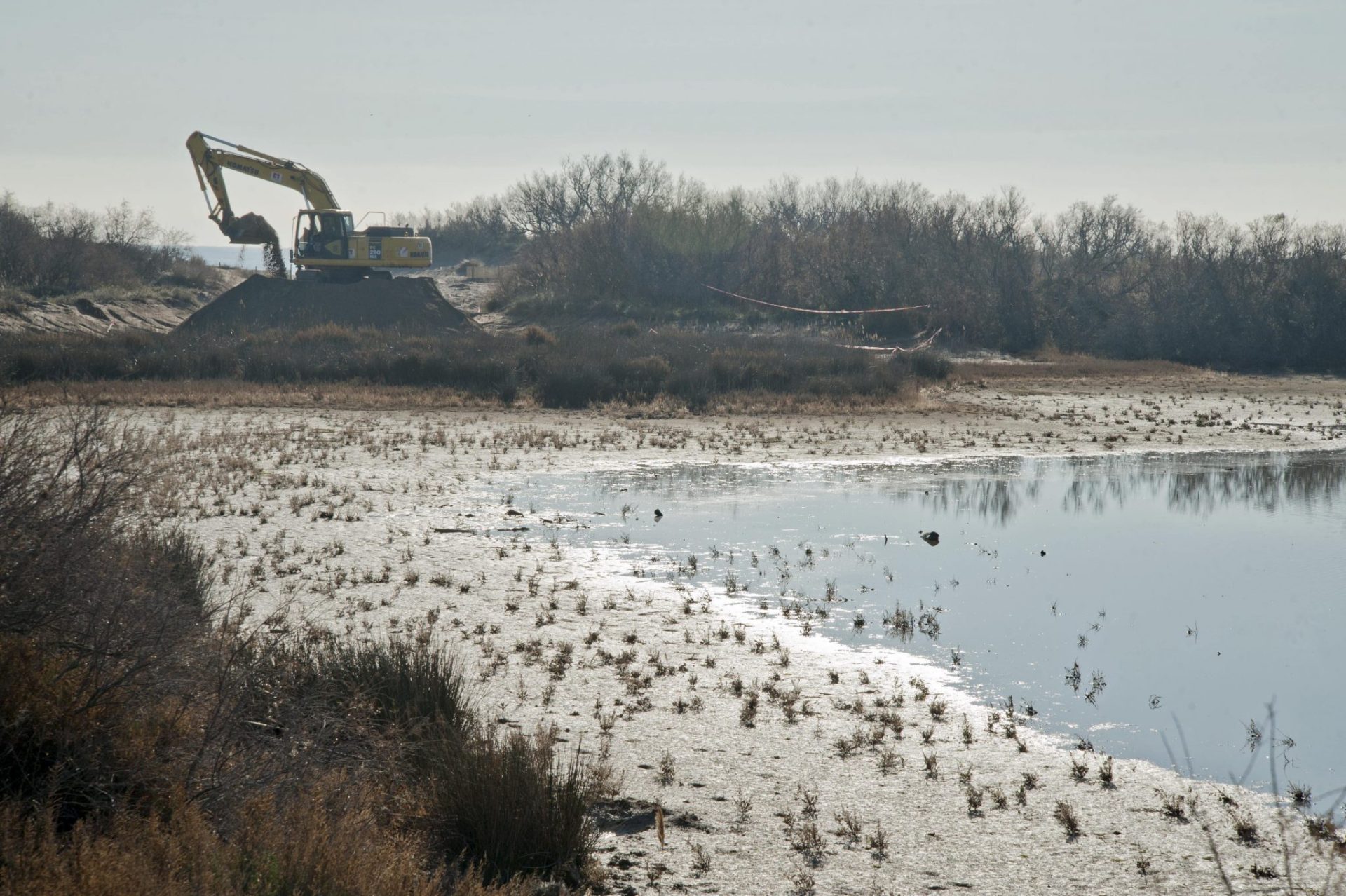 Trabajos de restauración ambiental de las marismas y las dunas de la Pletera, en Torroella de Montgrí (Girona).