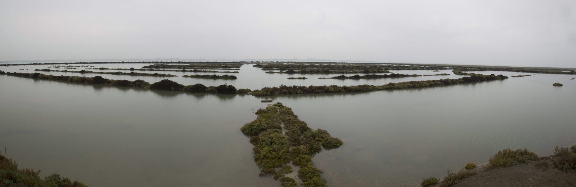 Una salina de Puerto Real recuperada para pesca artesanal.