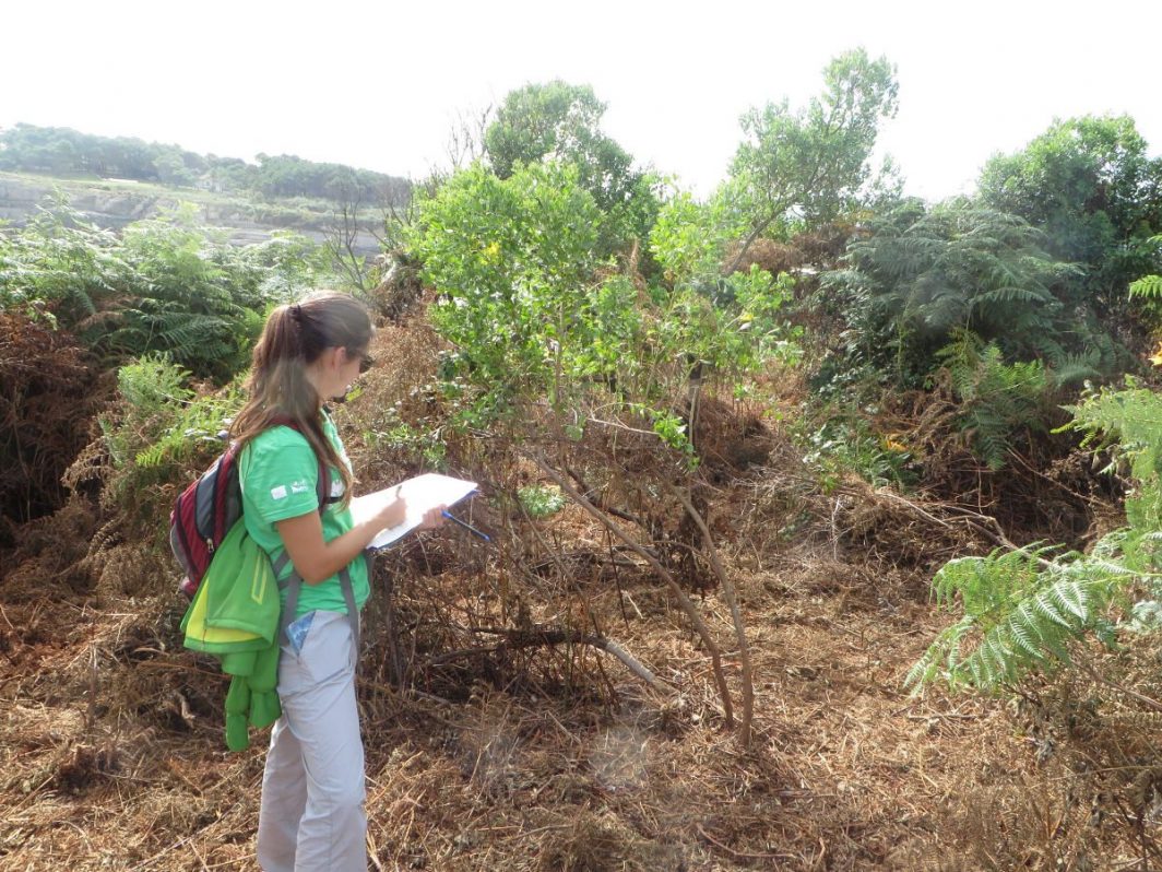 seguimiento de los trabajos-Fundación Naturaleza y Hombre