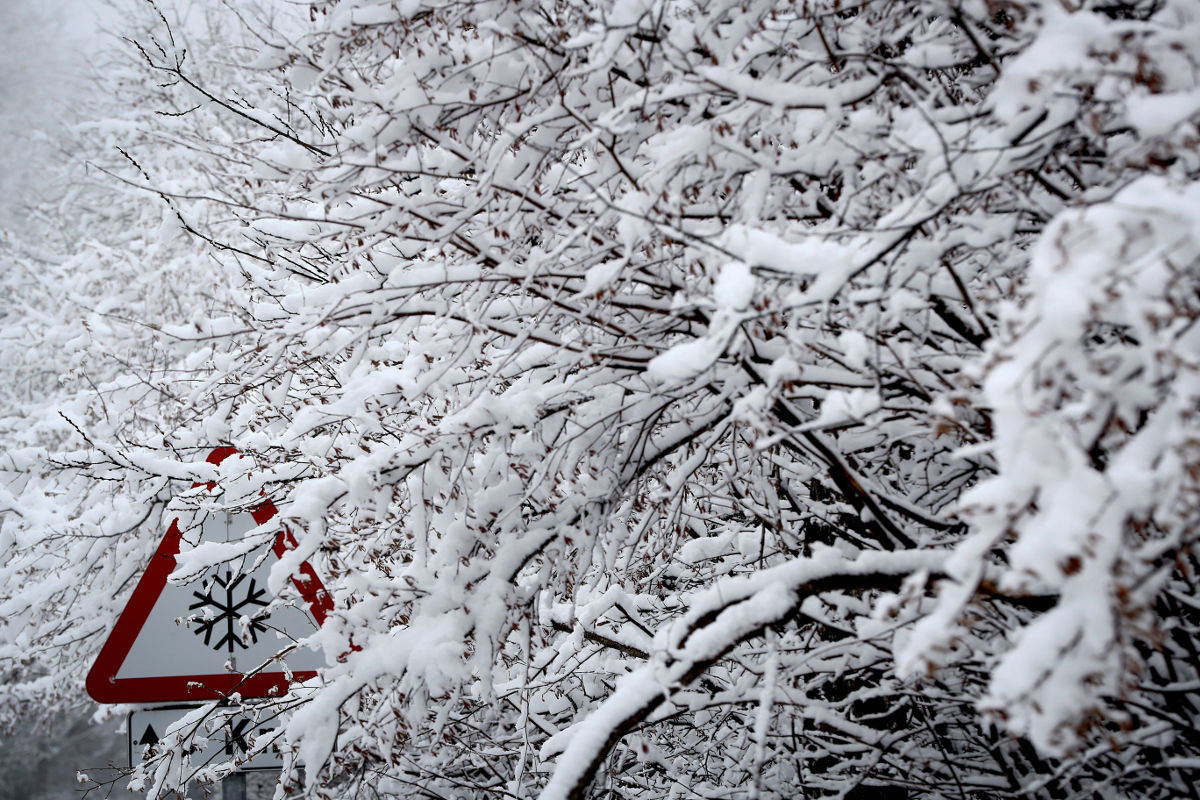 nieve