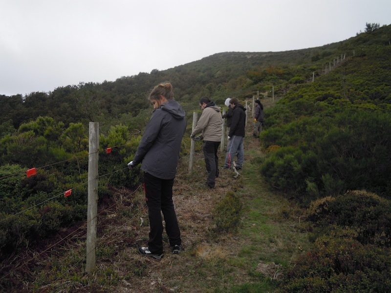 Voluntarios señalizan el vallado.EFE/Fundación Biodiversidad