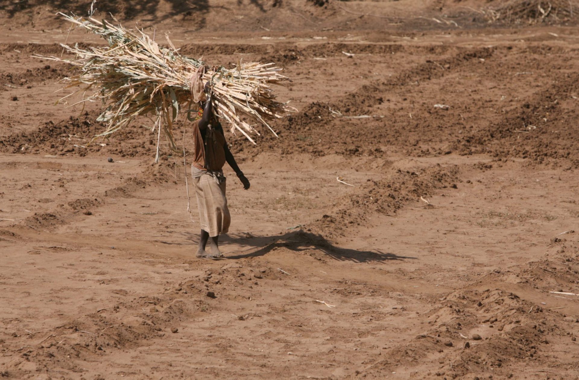 La sequía dispara el precio de los alimentos en el este de África.