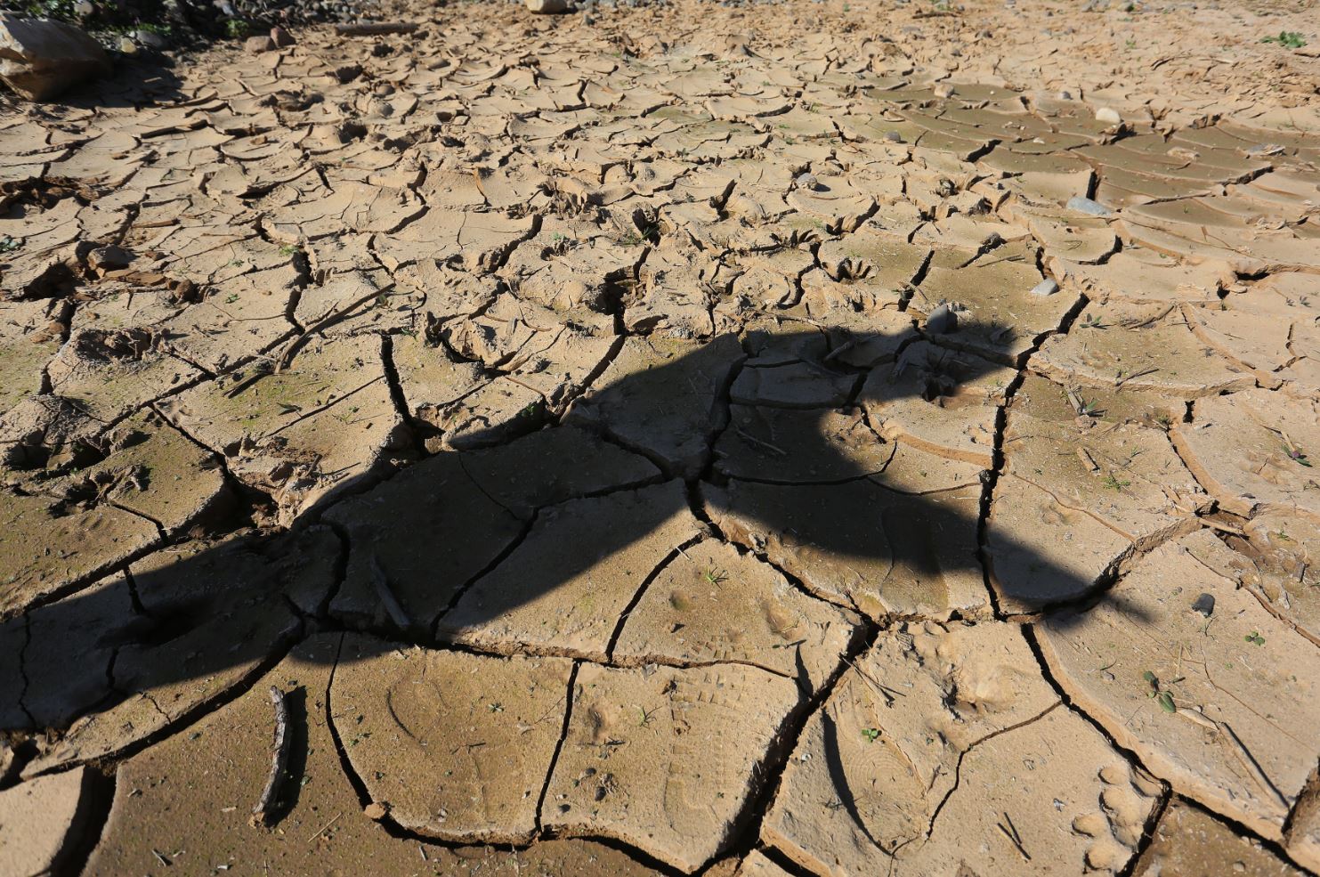 Chile, que vive su peor sequía en seis décadas, es el país con la mayor crisis hídrica de todo el hemisferio occidental, según Greenpeace. EFE/Elvis González/Archivo