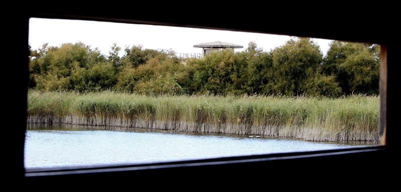 El Parque Nacional de Las Tablas de Daimiel desde uno de los lugares para el avistamiento de aves.
