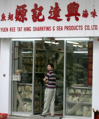 Tienda al por mayor de aletas de tiburón en Hong Kong. 
