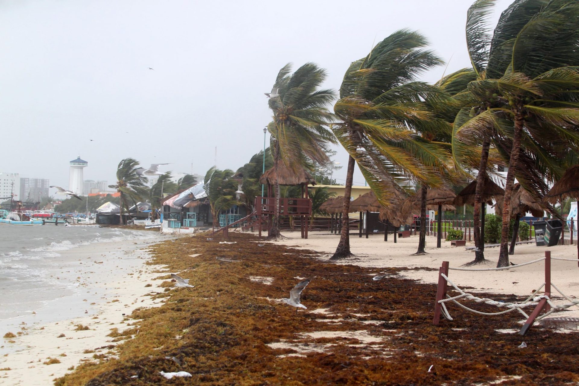 Fuertes vientos por la tormenta tropical Franklin en Cancún (México).