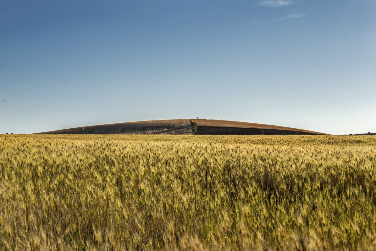 mediterraneo se calienta mas rapido