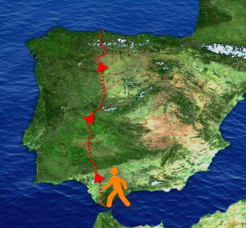Tórtola Dove Step 3