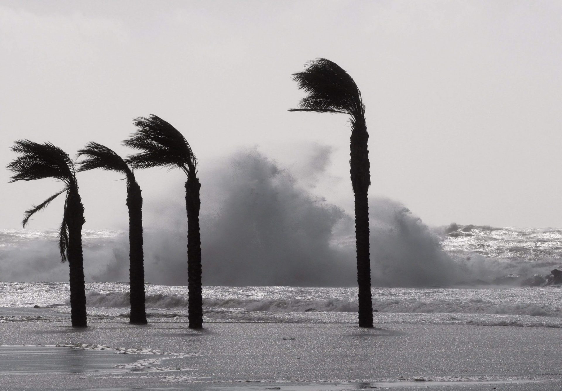 fuerte viento en la costa de Almería.