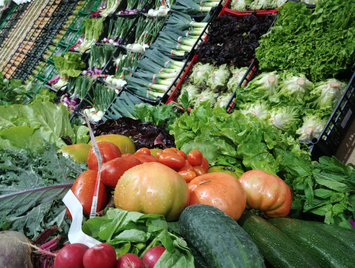 huerta