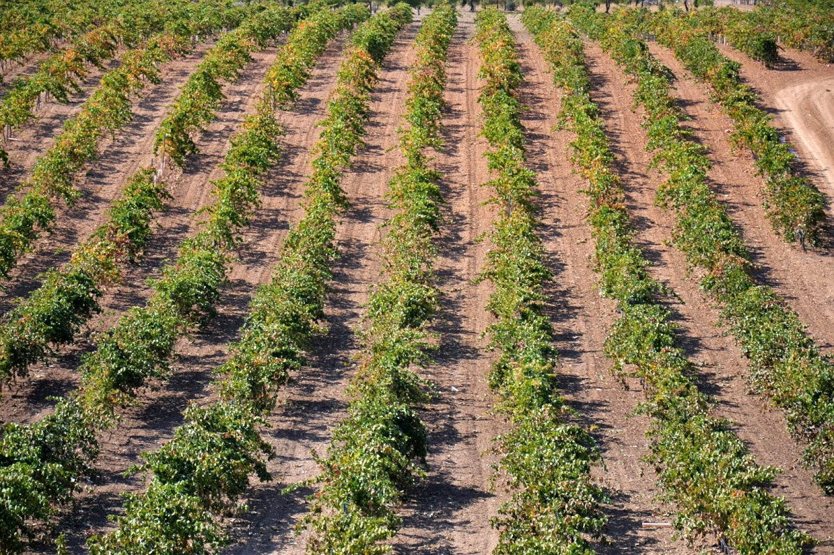 El sector agroganadero debe "familiarizarse" con las emisiones de gases efecto invernadero y su reducción.