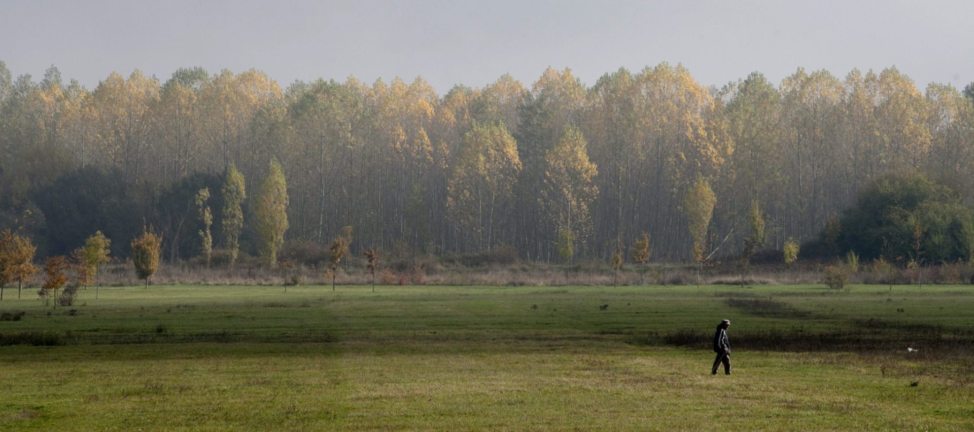 parque de Salburua en Vitoria