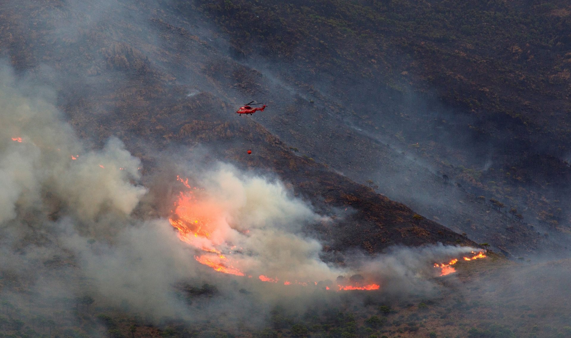 incendio Málaga