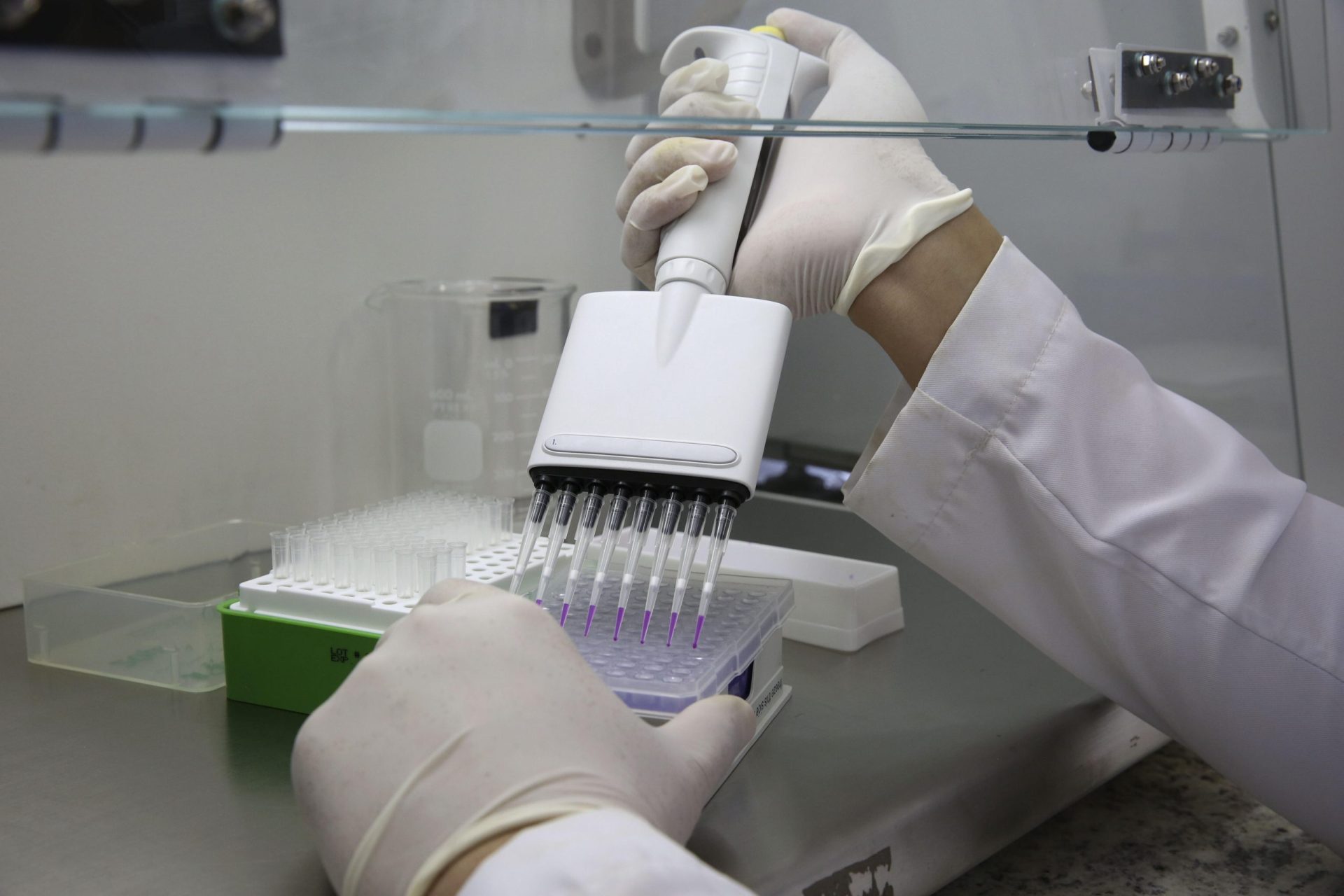 laboratorio investigación virus