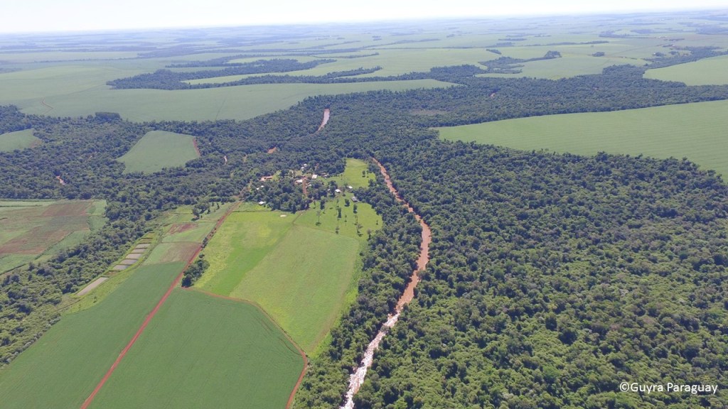 Corredor Biológico, Chaco paraguayo Copyright: Guyrá Paraguay