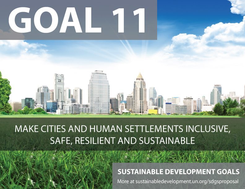 GOAL 11