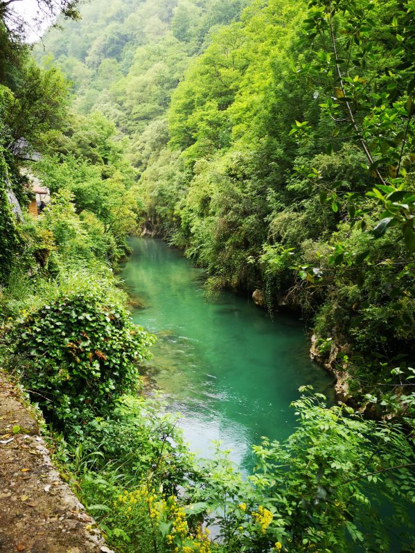 @ Arturo Crosbynaturaleza