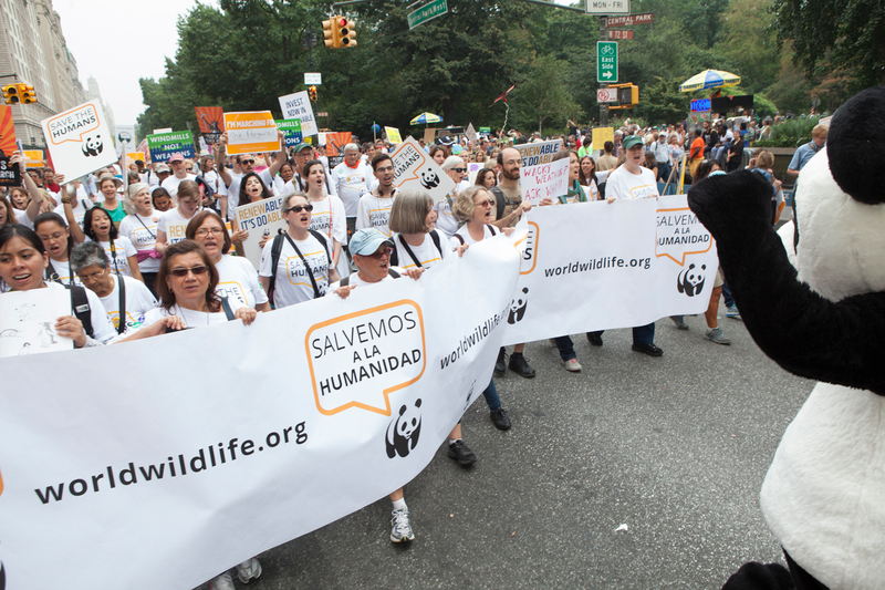 Scenes from the People's Climate March in New York City on Sunday, September 21, 2014.