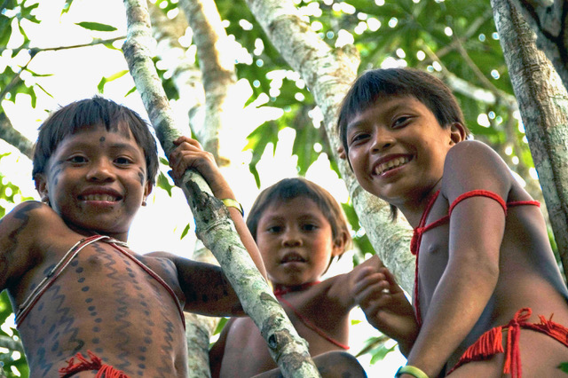 Yanomami Brasil