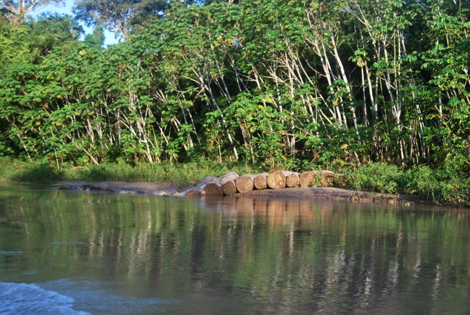 amazonía indígena