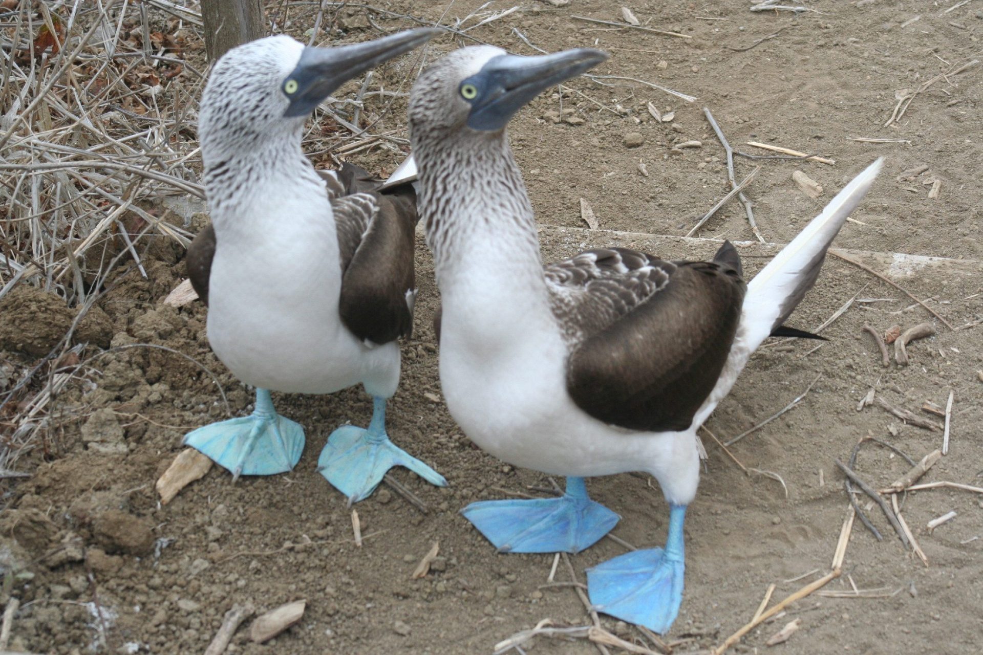 Foto de Arturo Crosby para su blog “Turismo sostenible” en la blogofera de EFEverde