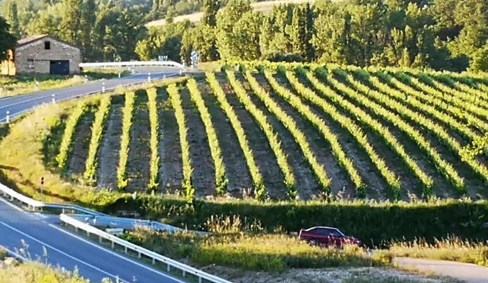 turismo