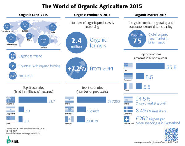 grafico_global_estadisticas