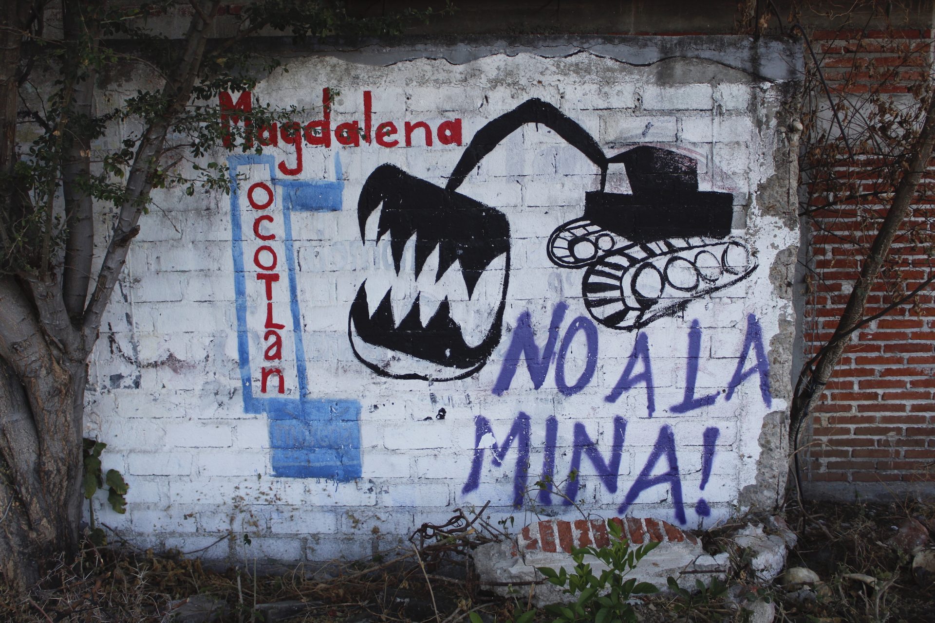 El rechazo a la minería se observa en las paredes de Magdalena Ocotlán. Foto: Roxana Romero.