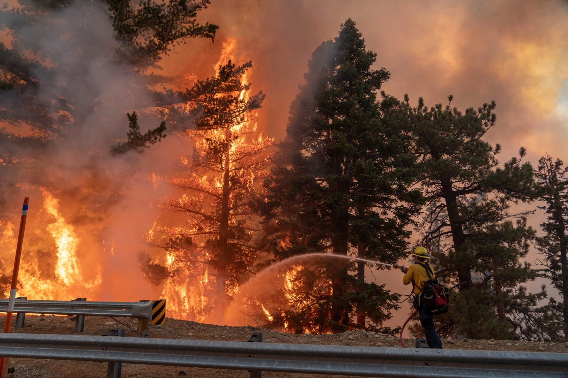 incendio forestal california