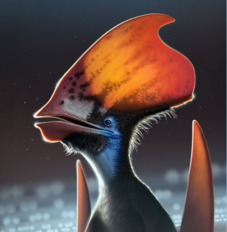 econstrucción artística del pterosaurio emplumado Tupandactylus. La imagen muestra los tipos de plumas a lo largo de la parte inferior de la cresta de la cabeza: monofilamentos oscuros y plumas ramificadas de color más claro. EFE/Nicholls 2022/Bob