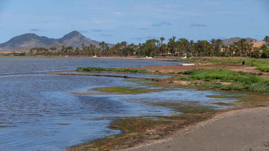 recuperación mar menor