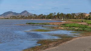 recuperación mar menor