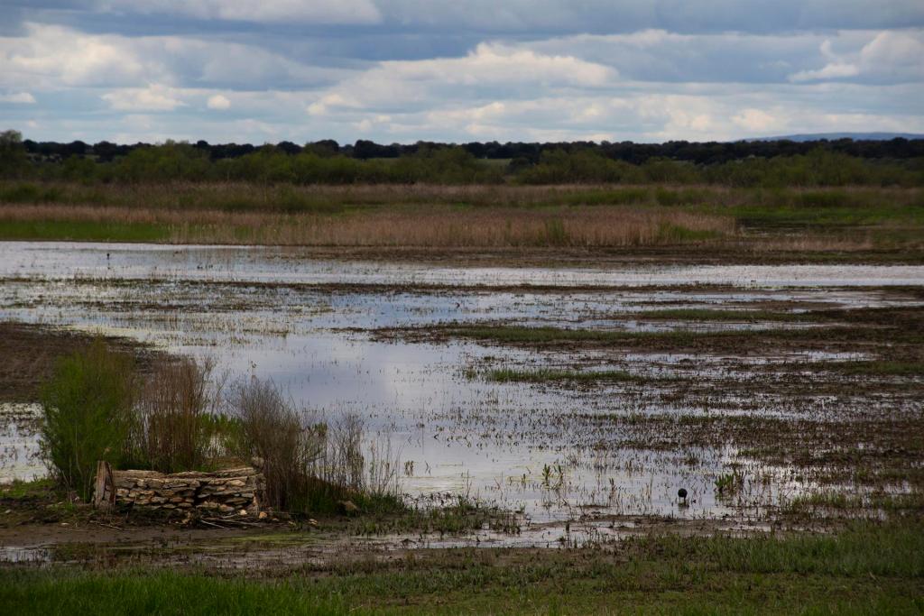 TABLAS DE DAIMIEL