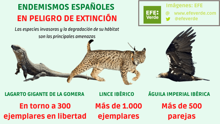 Las 10 especies animales endémicas más amenazadas de España EFEverde
