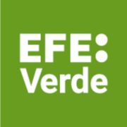 (c) Efeverde.com