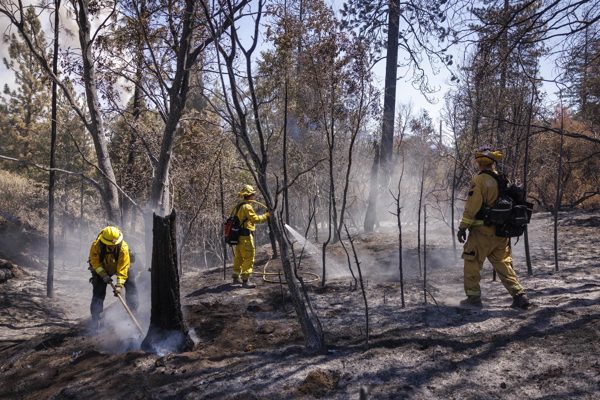Avanza la contención del incendio cercano al parque Yosemite
