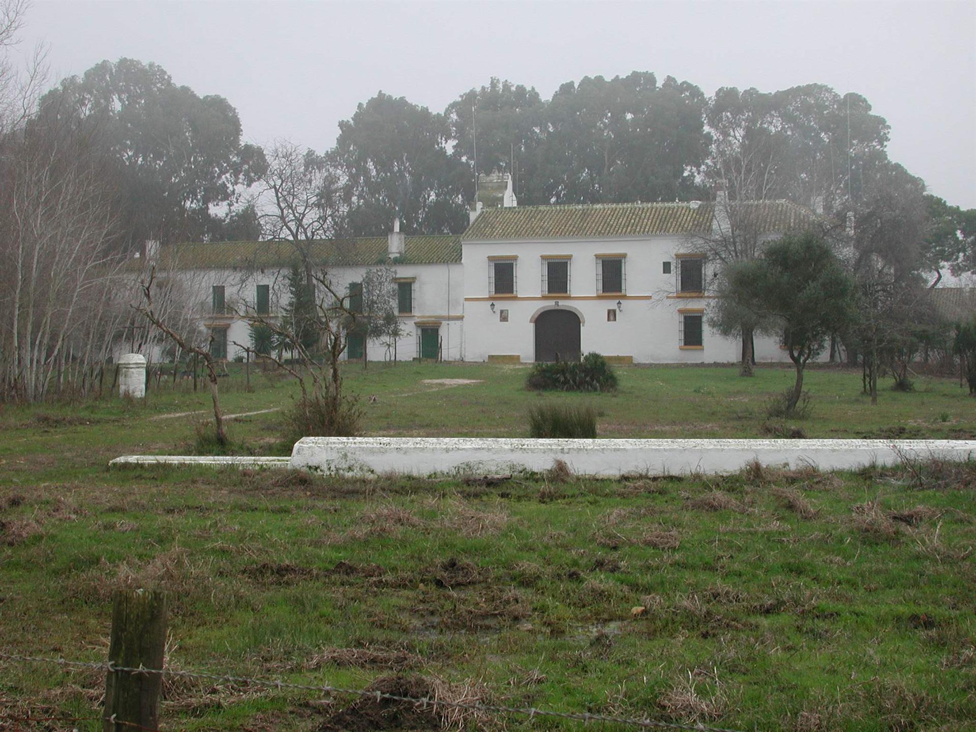 CSIC Doñana