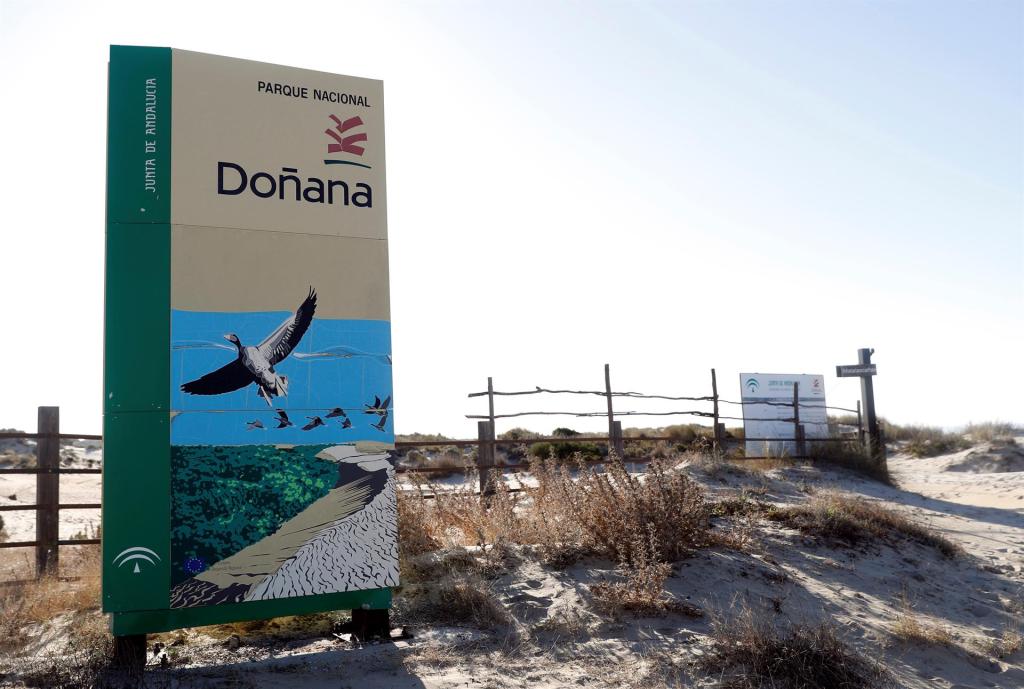Vista de un cartel en la playa del Parque Nacional de Doñana-Matalacañas en Huelva, en una fotografía de archivo. EFE/ J.J. Guillén