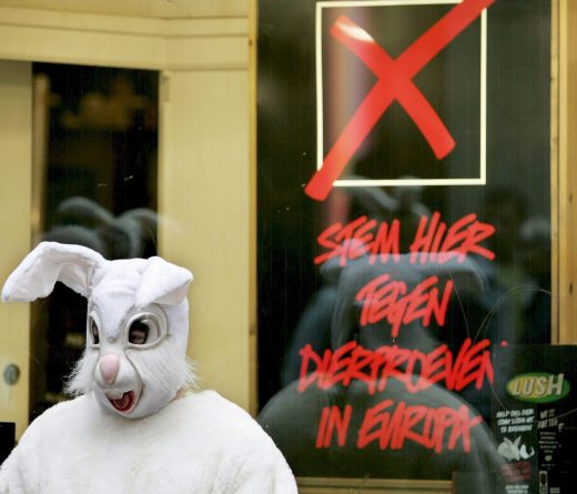 Un activista en defensa de los derechos de los animales, vestido como un conejo gigante, protesta en frente de la tienda de cosméticos Lush Handmade en Amsterdam, Holanda. Archivo EFE/Rick Nederstigt