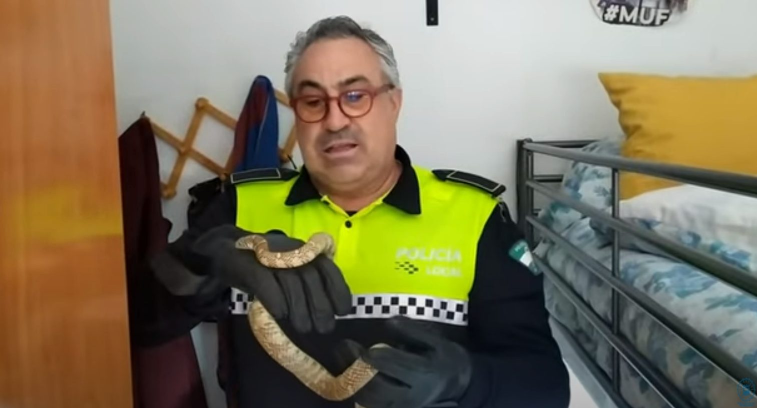Captura del vídeo de la Policía municipal de Málaga
